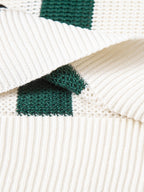 Stripe V Neck Knit Polo